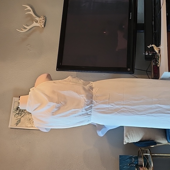 Pretty Garden White Mock Neck Dress w/Assymetrical sleeveless sleeves, NWT XXL - Picture 4 of 13